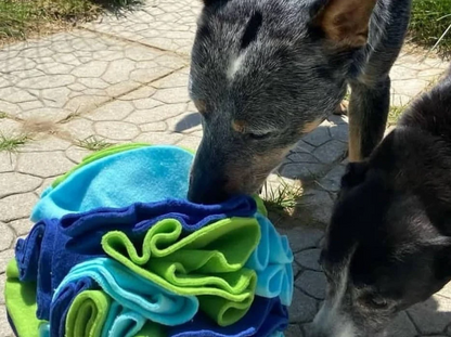 Matching Large Snuffle Ball and Mat Set