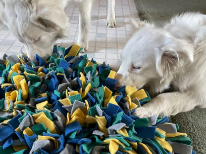 Matching Large Snuffle Ball and Mat Set